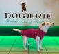 Preview: Sofa Dog Wear Hachico MicroJumper (Pulli für kleinere Hunde)